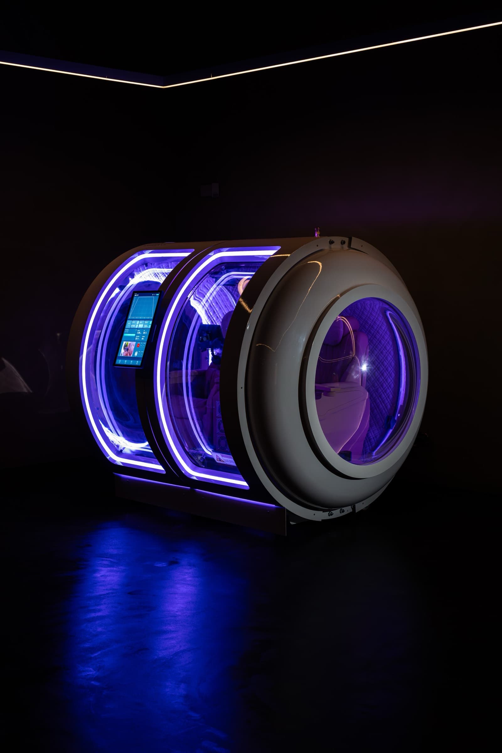 Coral Ark under purple neon lighting in a studio setting